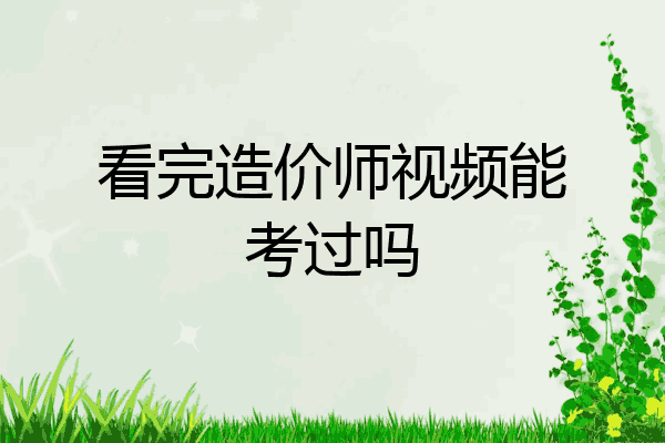 看完造价师视频能考过吗