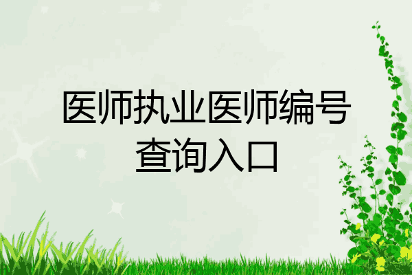 医师执业医师编号查询入口