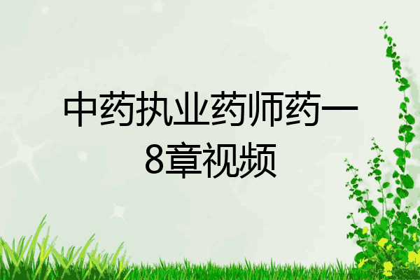 中药执业药师药一8章视频