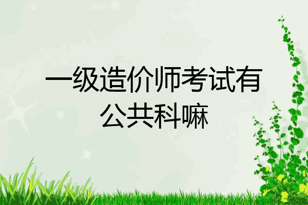 一级造价师考试有公共科嘛