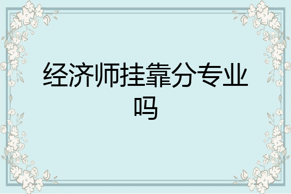 经济师挂靠分专业吗