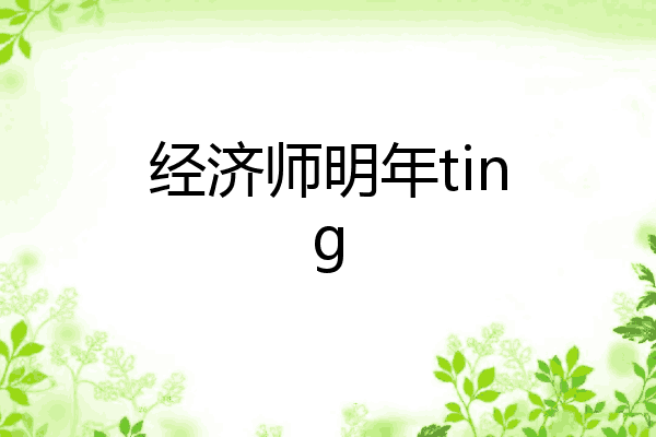 经济师明年ting