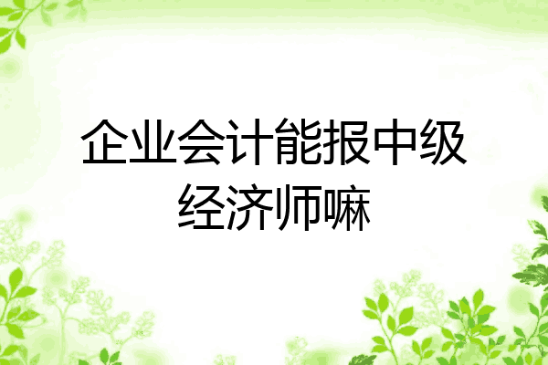 企业会计能报中级经济师嘛