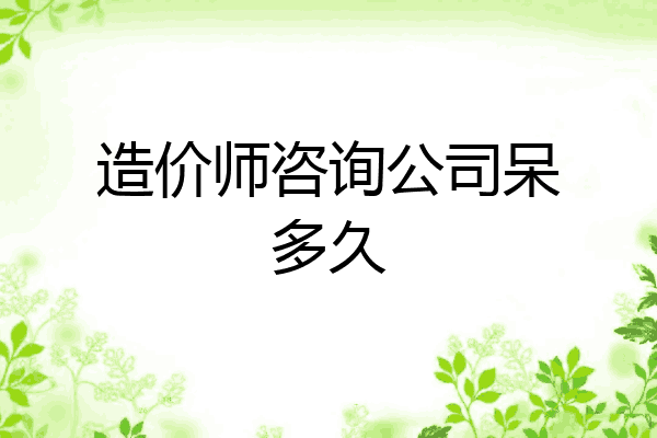 造价师咨询公司呆多久