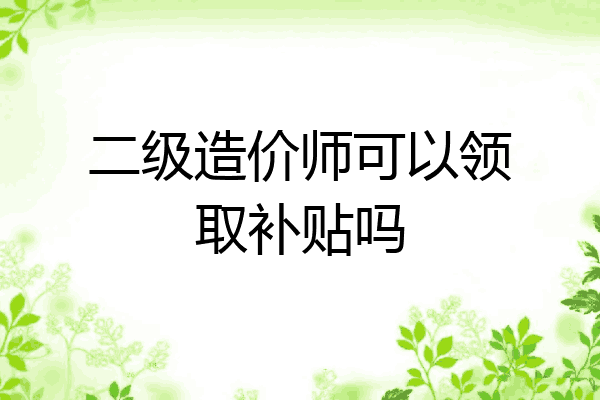 二级造价师可以领取补贴吗