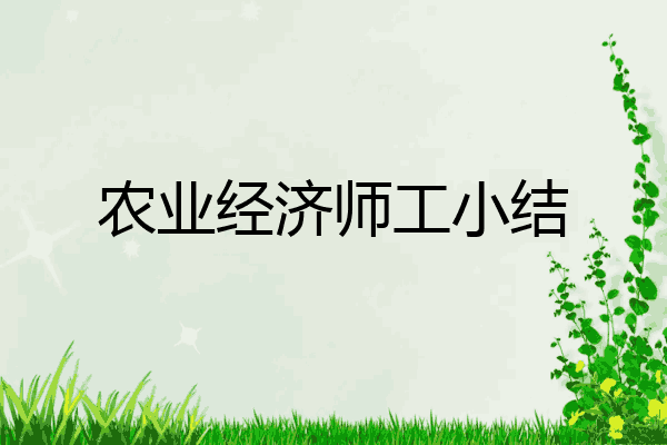 农业经济师工小结