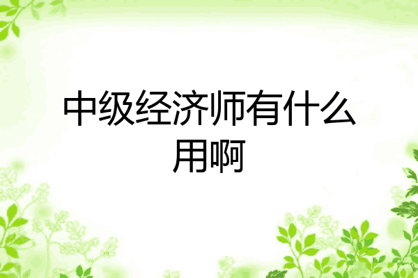 中级经济师有什么用啊