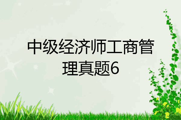 中级经济师工商管理真题6