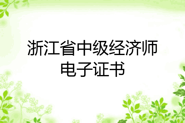 浙江省中级经济师电子证书