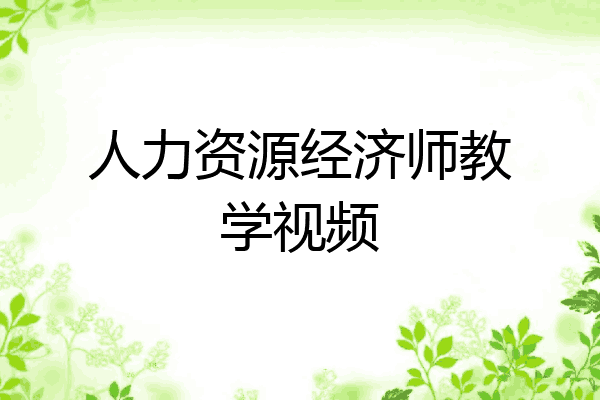 人力资源经济师教学视频