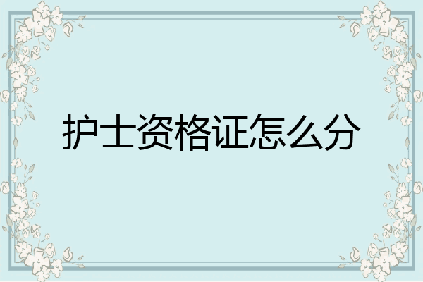 护士资格证怎么分