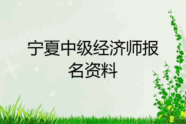 宁夏中级经济师报名资料