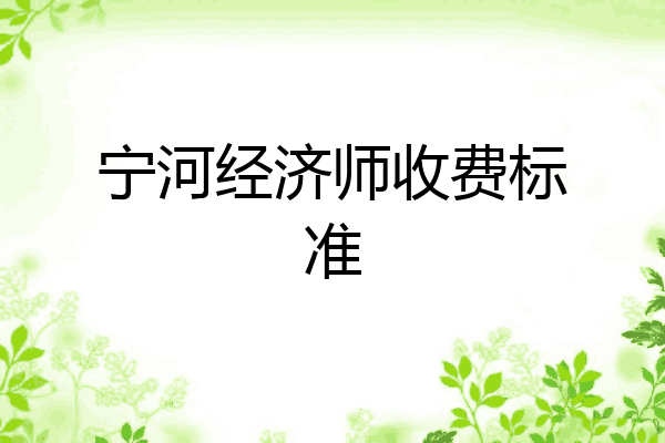 宁河经济师收费标准