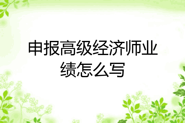 申报高级经济师业绩怎么写