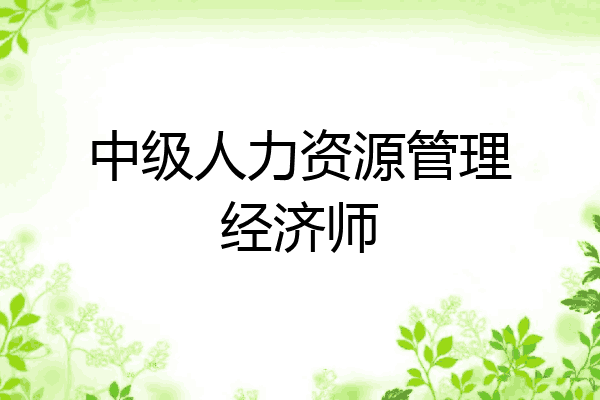 中级人力资源管理经济师