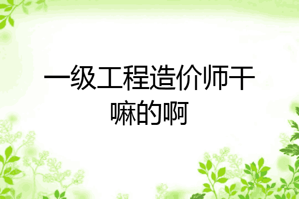 一级工程造价师干嘛的啊