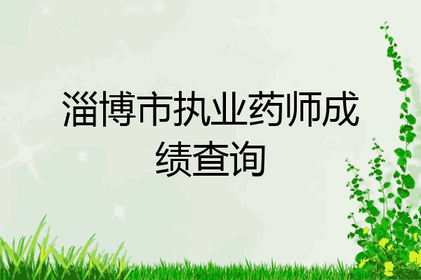淄博市执业药师成绩查询