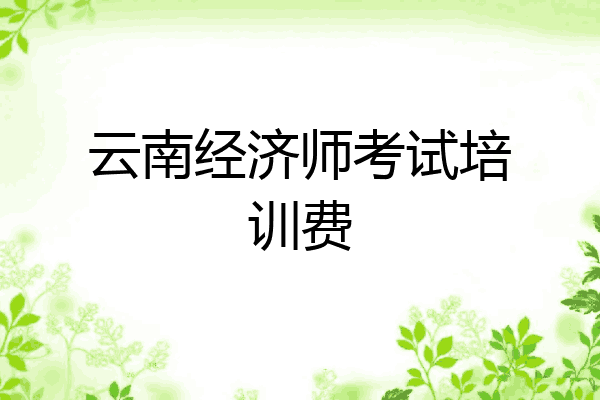 云南经济师考试培训费
