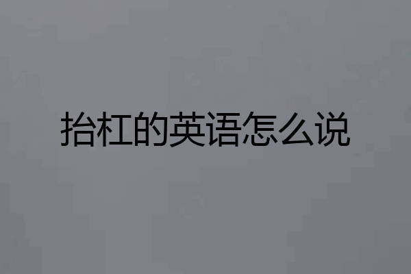 抬杠的英语怎么说