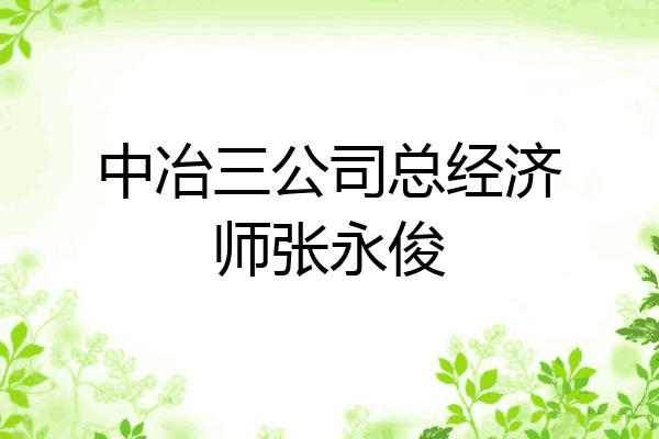 中冶三公司总经济师张永俊