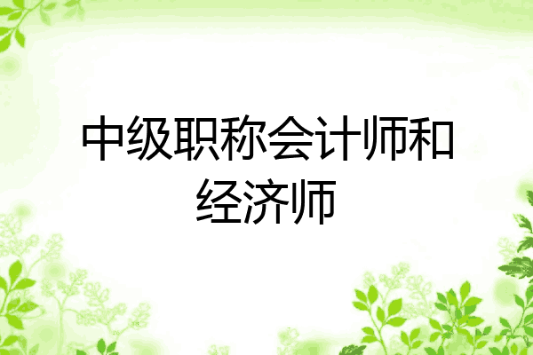 中级职称会计师和经济师
