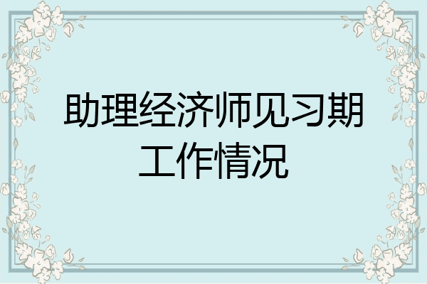 助理经济师见习期工作情况