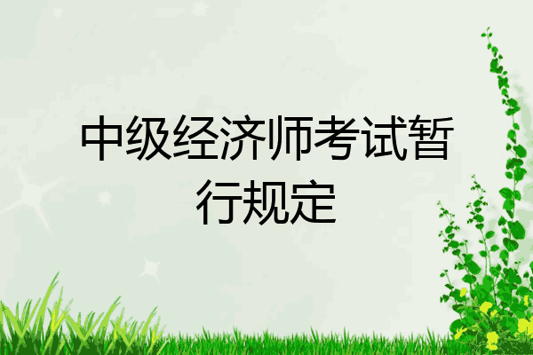 中级经济师考试暂行规定