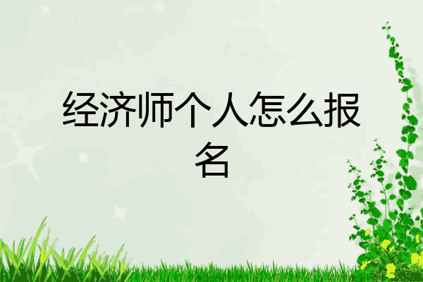 经济师个人怎么报名