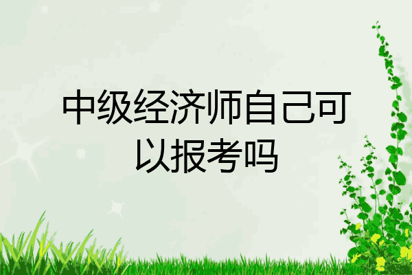 中级经济师自己可以报考吗