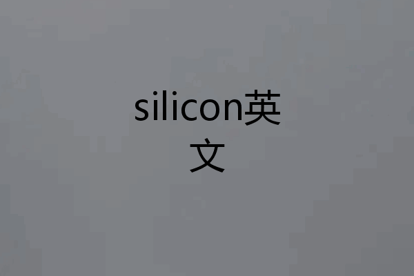 silicon英文