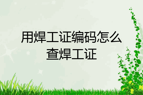 用焊工证编码怎么查焊工证