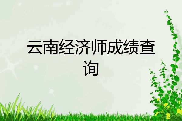 云南经济师成绩查询