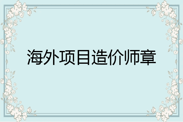 海外项目造价师章