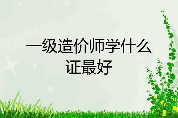 一级造价师学什么证最好