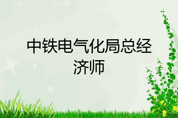 中铁电气化局总经济师