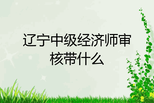 辽宁中级经济师审核带什么