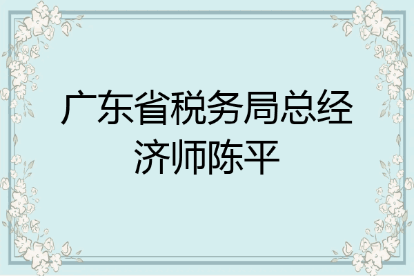 广东省税务局总经济师陈平