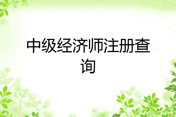 中级经济师注册查询