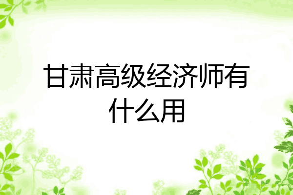 甘肃高级经济师有什么用