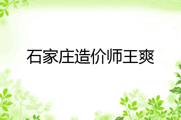 石家庄造价师王爽
