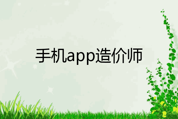 手机app造价师