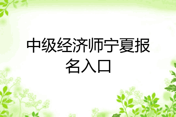 中级经济师宁夏报名入口
