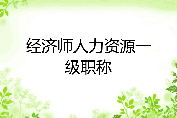 经济师人力资源一级职称