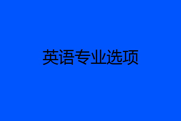 英语专业选项