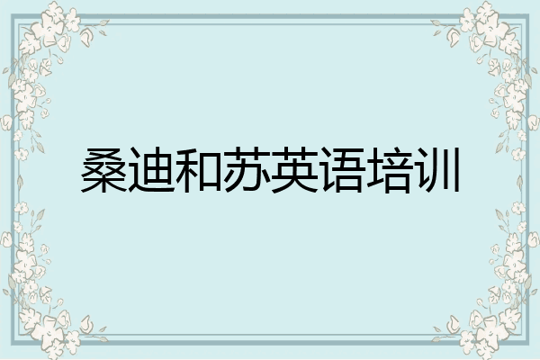 桑迪和苏英语培训