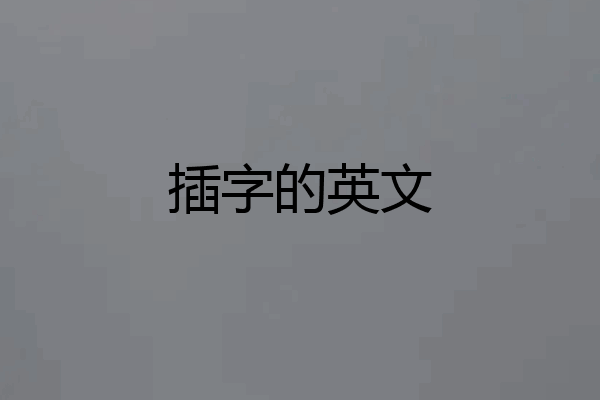 插字的英文