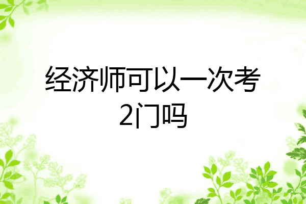 经济师可以一次考2门吗