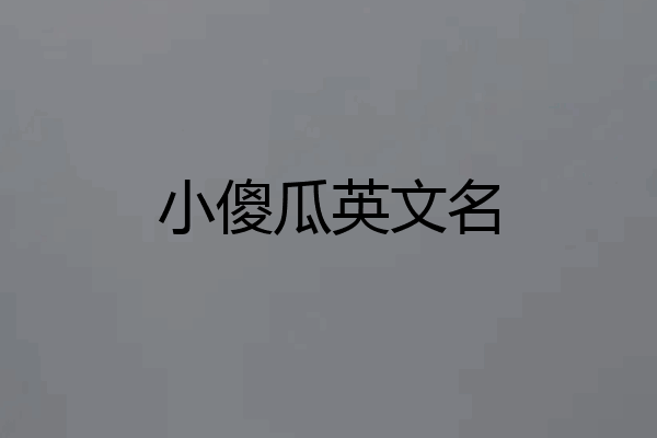 小傻瓜英文名