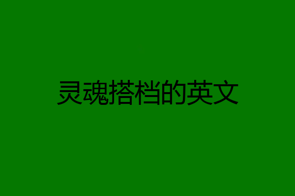 灵魂搭档的英文