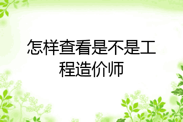怎样查看是不是工程造价师